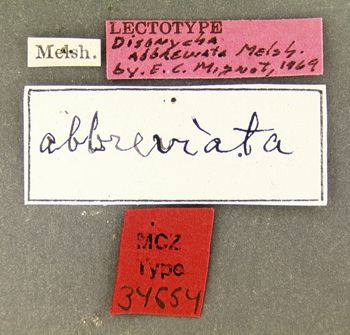 Media type: image; Entomology 34654   Aspect: labels